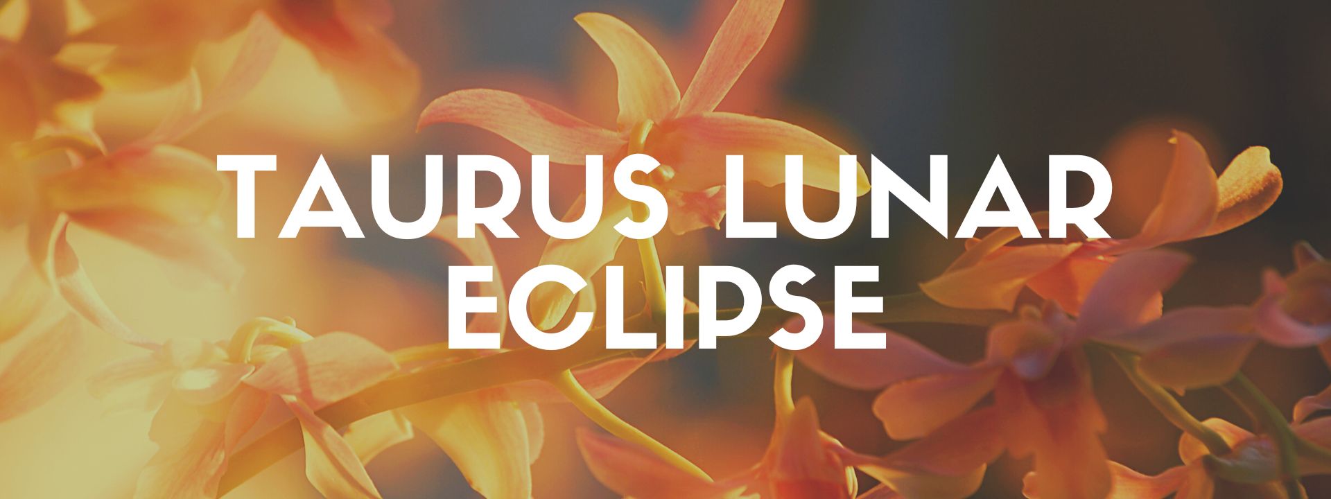 Taurus Lunar Eclipse 2022 - The Dark Pixie Astrology