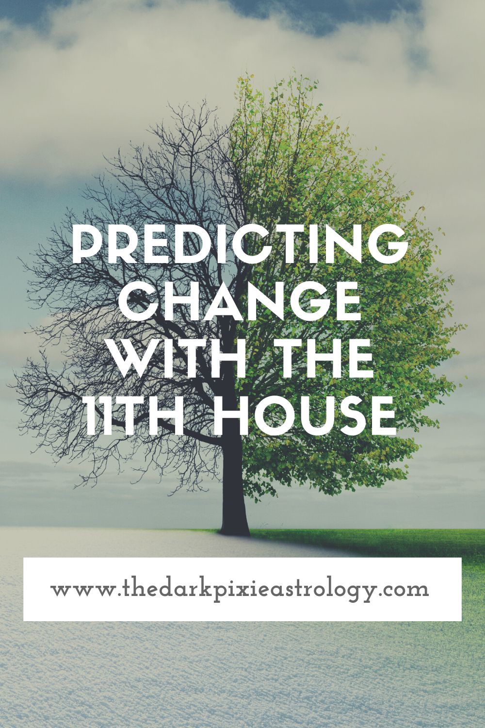 Predicting Change With the 11th House - The Dark Pixie Astrology