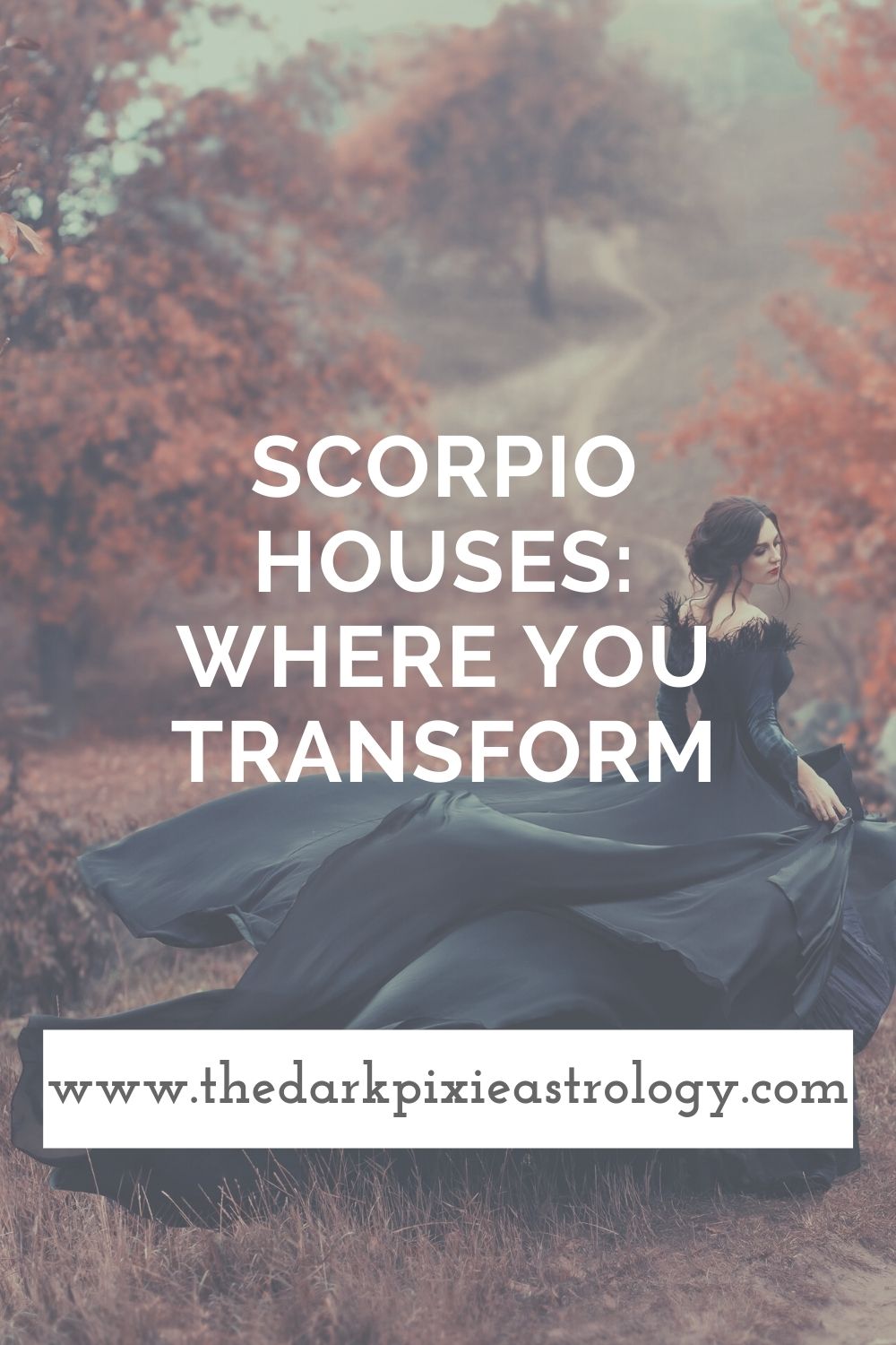 Scorpio Houses: Where You Transform - The Dark Pixie Astrology