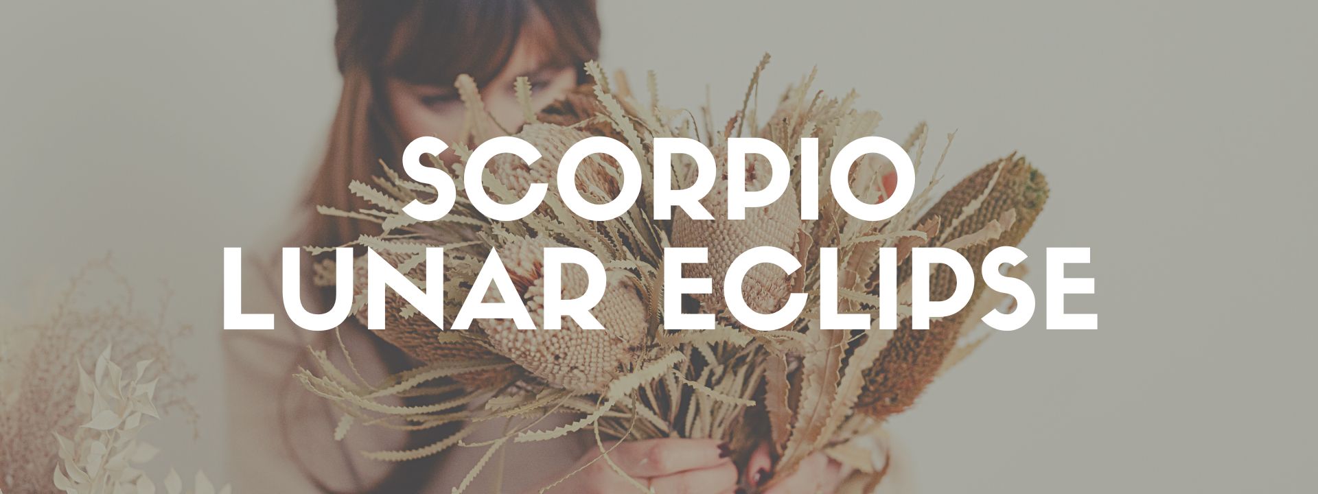 May 2023 New & Full Moons: Lunar Eclipse in Scorpio & New Moon in Taurus - The Dark Pixie AstrologyPicture
