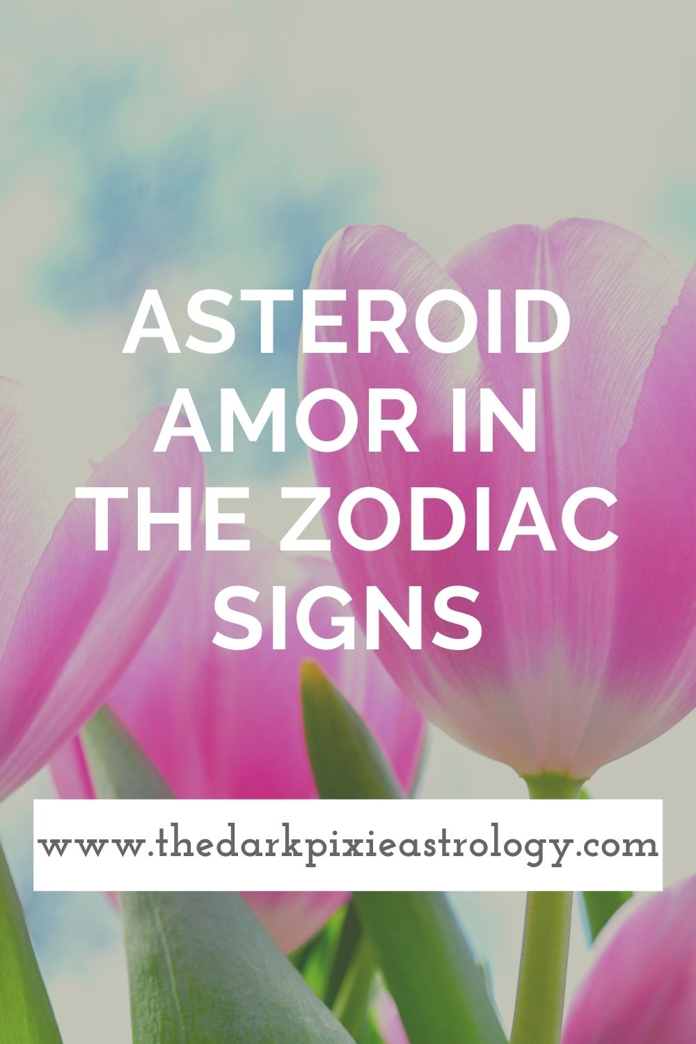 Asteroid Amor in the Zodiac Signs - The Dark Pixie Astrology