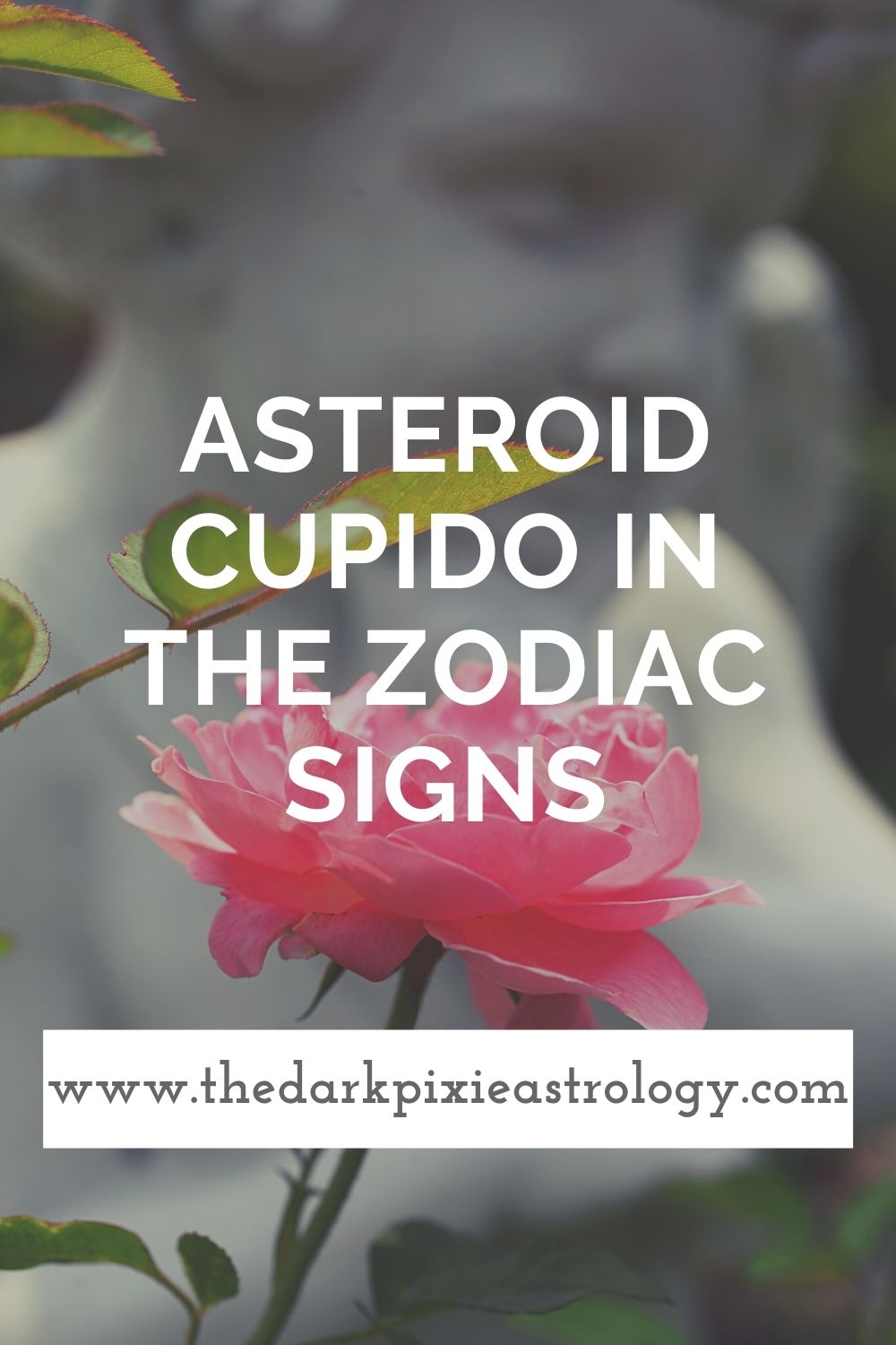 Asteroid Cupido in the Zodiac Signs - The Dark Pixie Astrology
