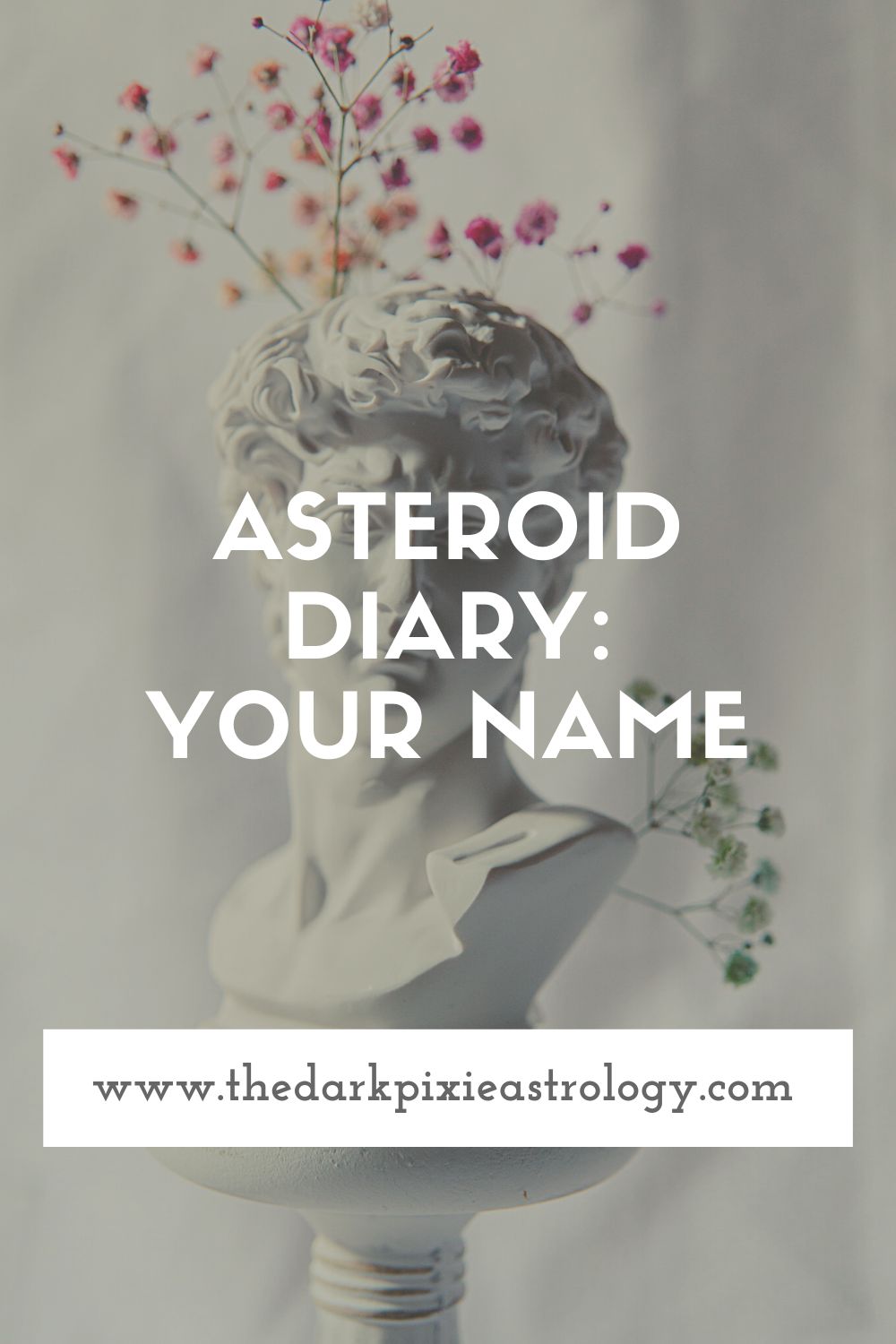 Asteroid Diary: Your Name - The Dark Pixie Astrology