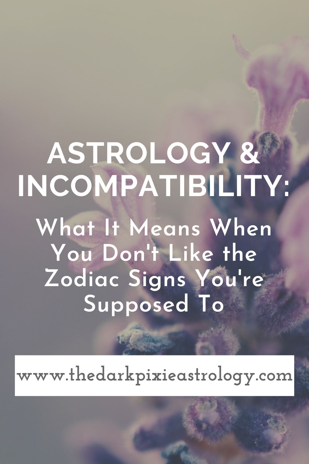 Astrology & Incompatibility: What It Means When You Don't Like the Zodiac Signs You're Supposed To - The Dark Pixie Astrology