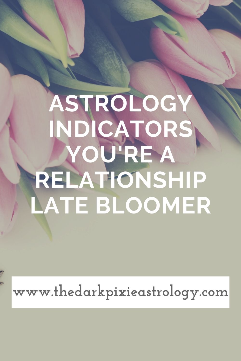Astrology Indicators You're a Relationship Late Bloomer - The Dark Pixie Astrology