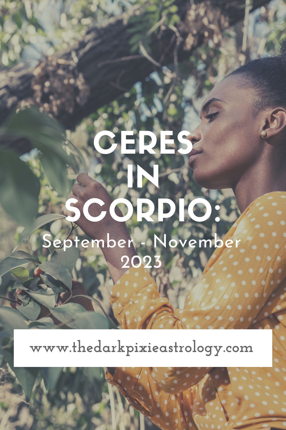 Ceres in Scorpio: September - November 2023 - The Dark Pixie Astrology