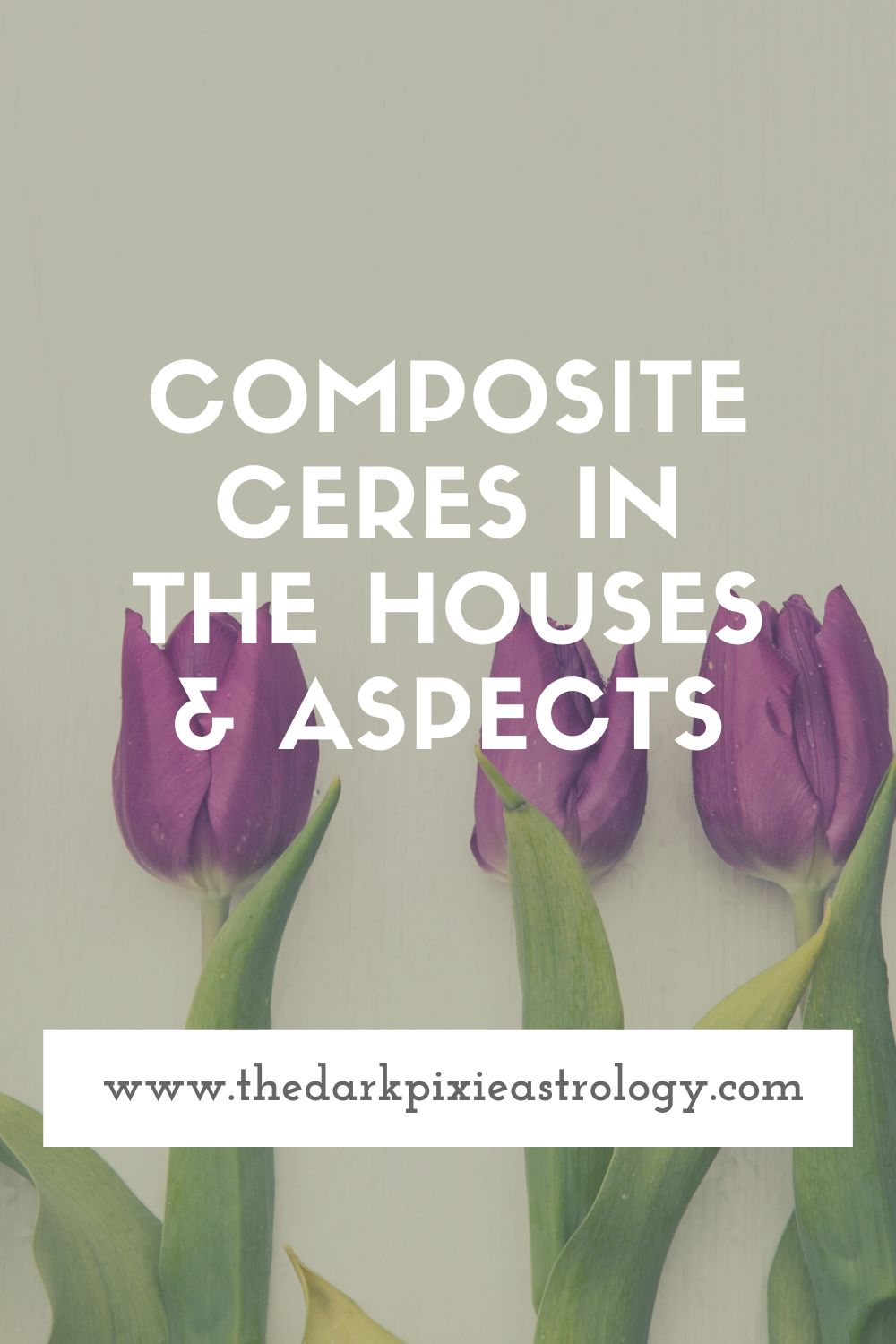 Composite Ceres in the Houses & Aspects - The Dark Pixie Astrology