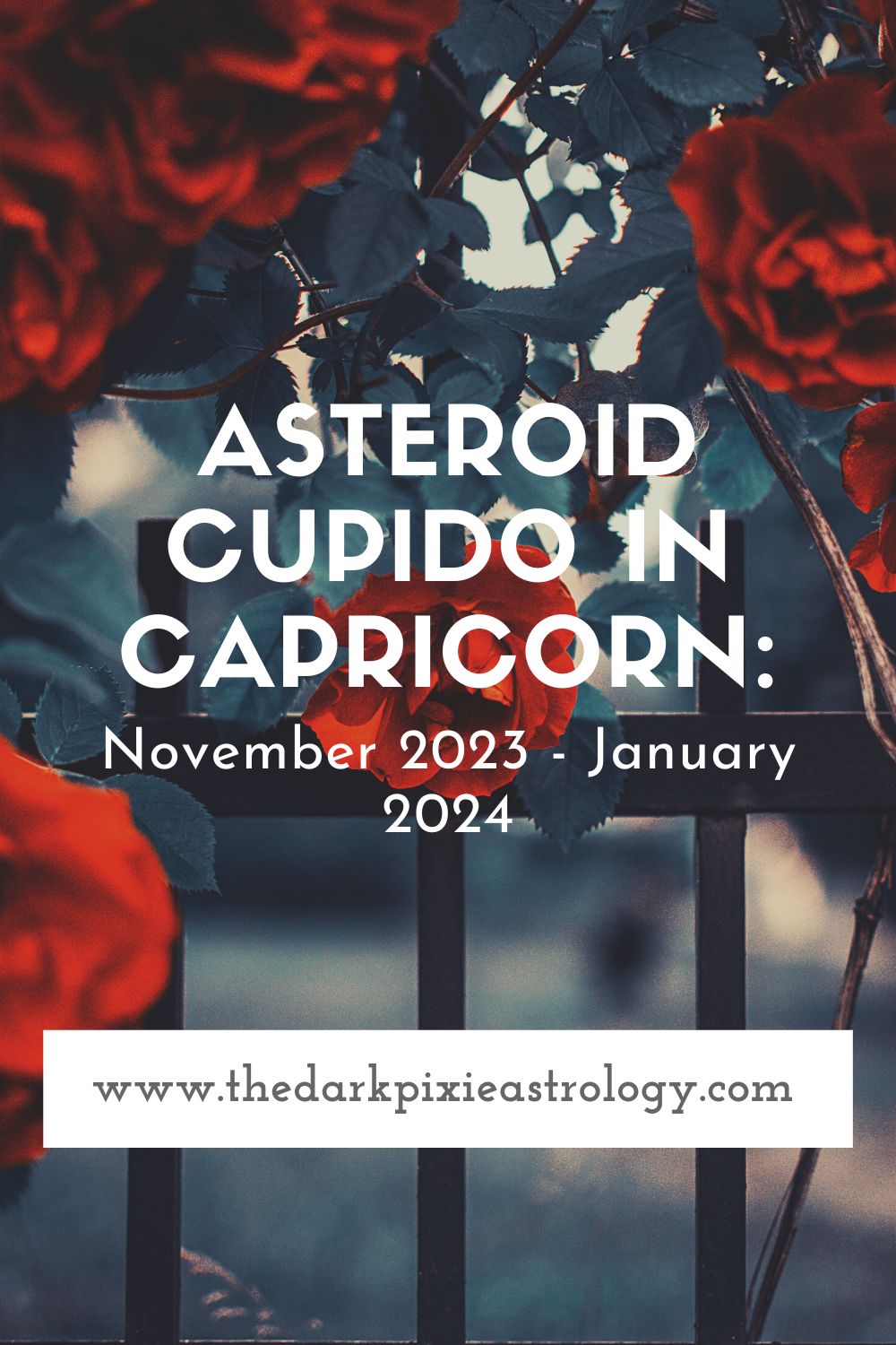 Asteroid Cupido in Capricorn: November 2023 - January 2024 - The Dark Pixie Astrology