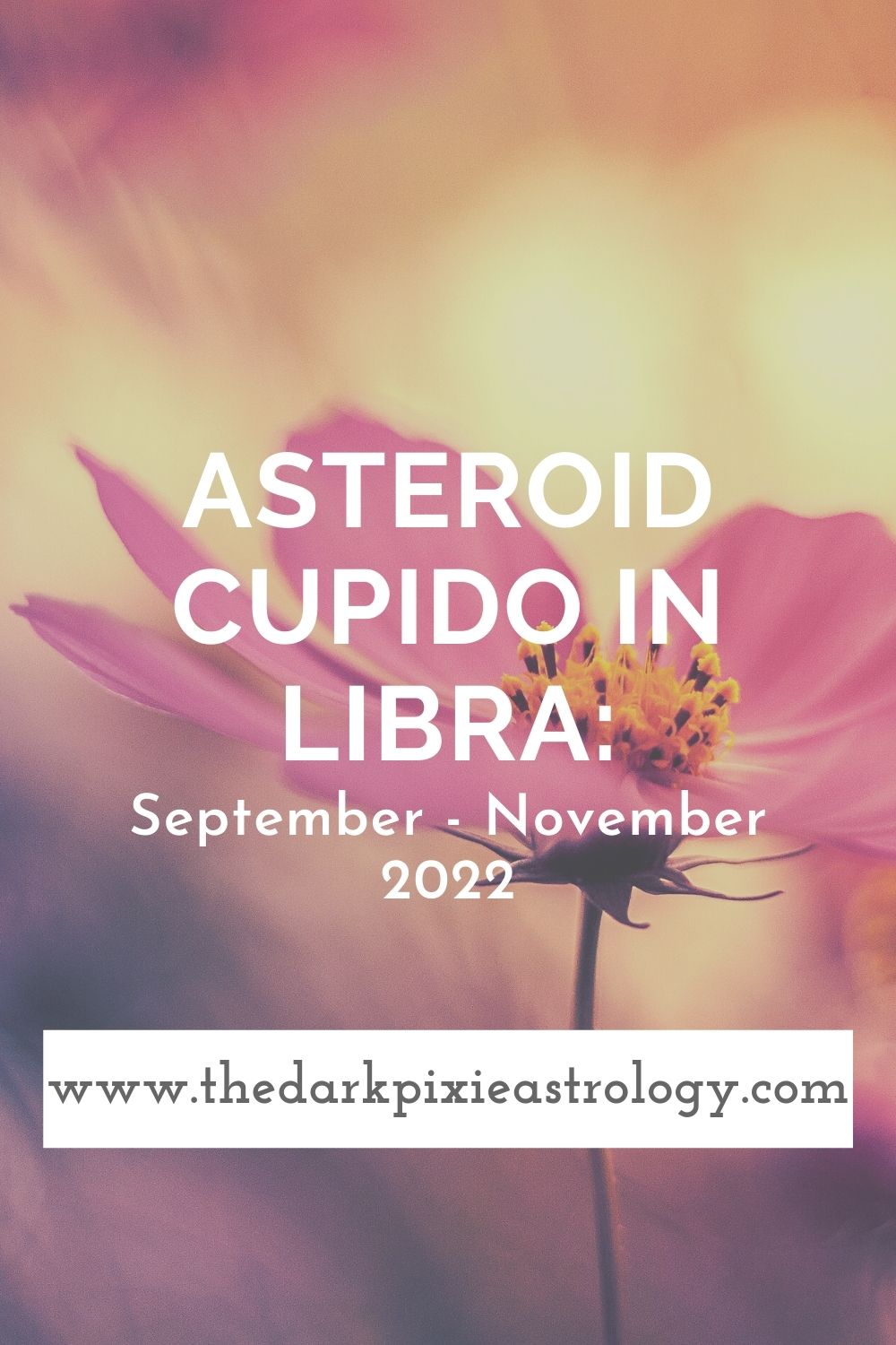 Asteroid Cupido in Libra: September - November 2022 - The Dark Pixie Astrology