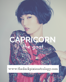 Capricorn 2022 Horoscope on The Dark Pixie Astrology