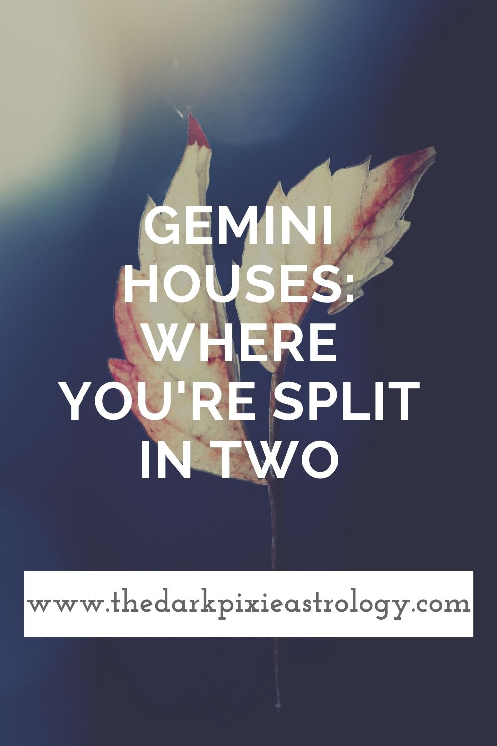 Gemini Houses: Where You're Split in Two - The Dark Pixie Astrology