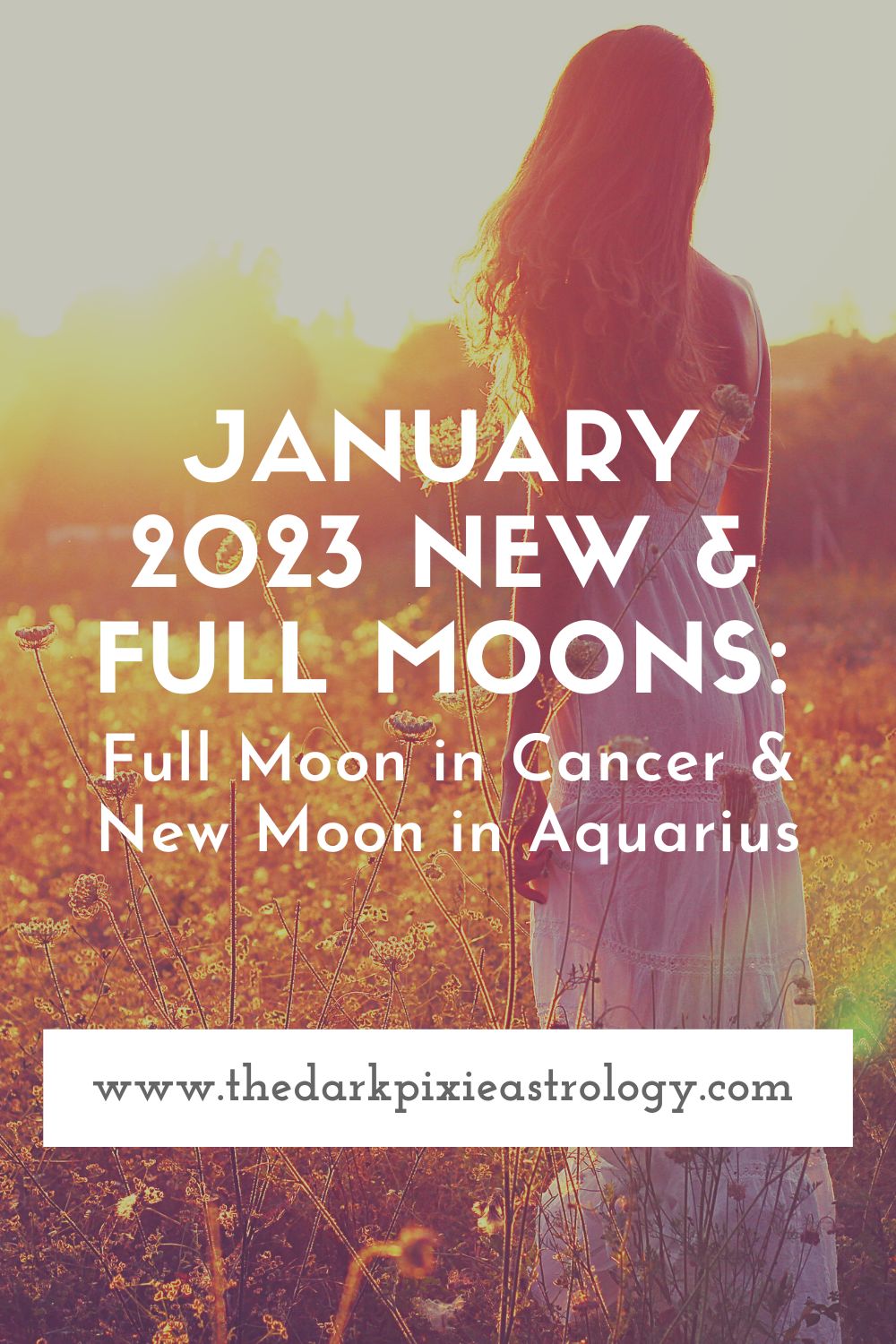 January 2023 New & Full Moons: Full Moon in Cancer & New Moon in Aquarius - The Dark Pixie Astrology
