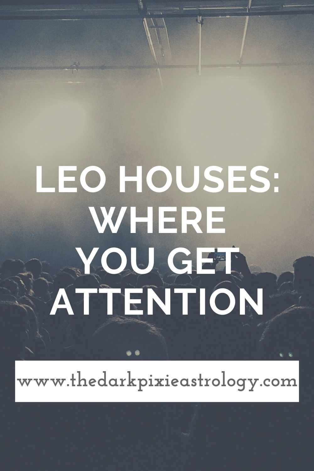 Leo Houses: Where You Get Attention - The Dark Pixie Astrology