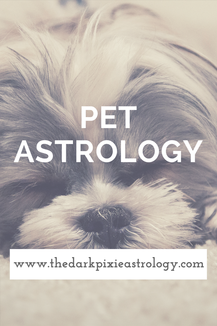 Pet Astrology - The Dark Pixie Astrology