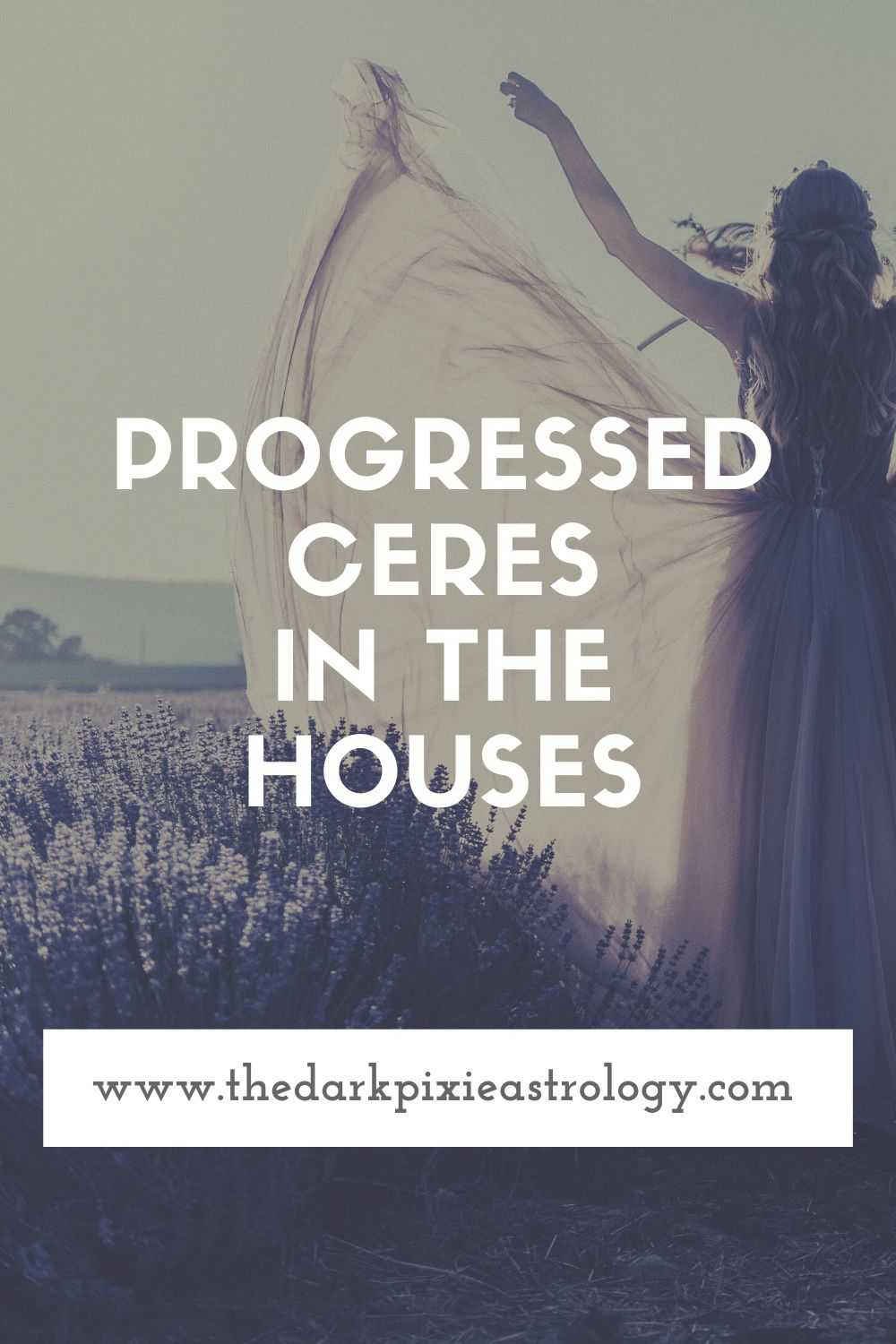 Progressed Ceres in the Houses - The Dark Pixie Astrology