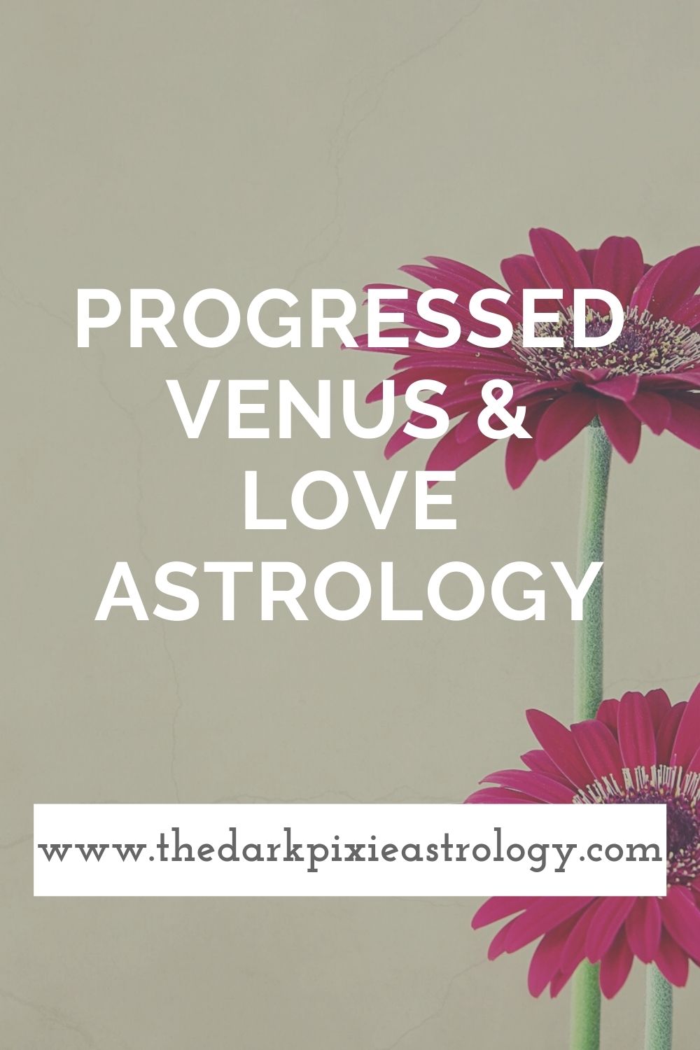 Progressed Venus & Love Astrology - The Dark Pixie Astrology