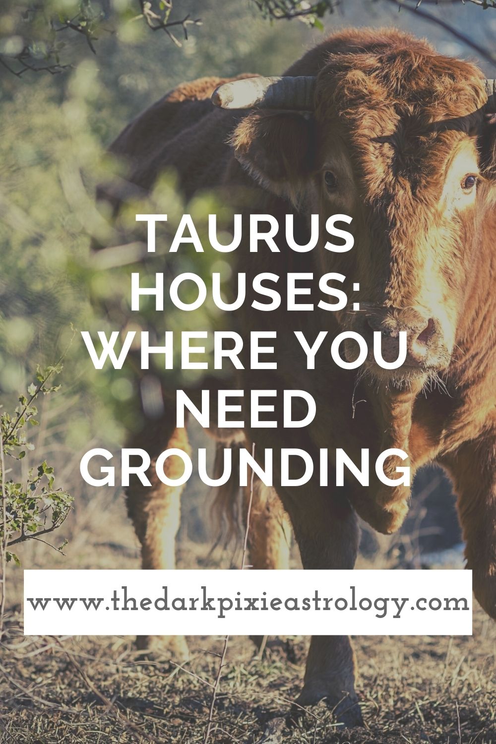 Taurus Houses: Where You Need Grounding - The Dark Pixie Astrology