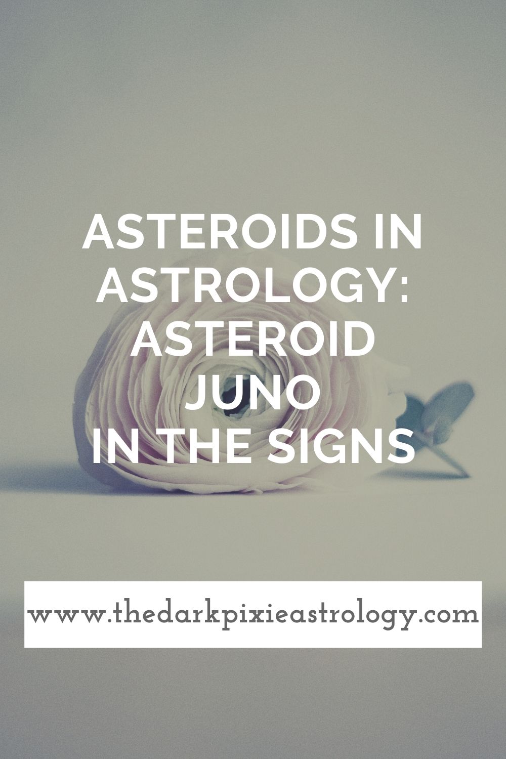 Asteroids in Astrology: Asteroid Juno in the Signs - The Dark Pixie Astrology
