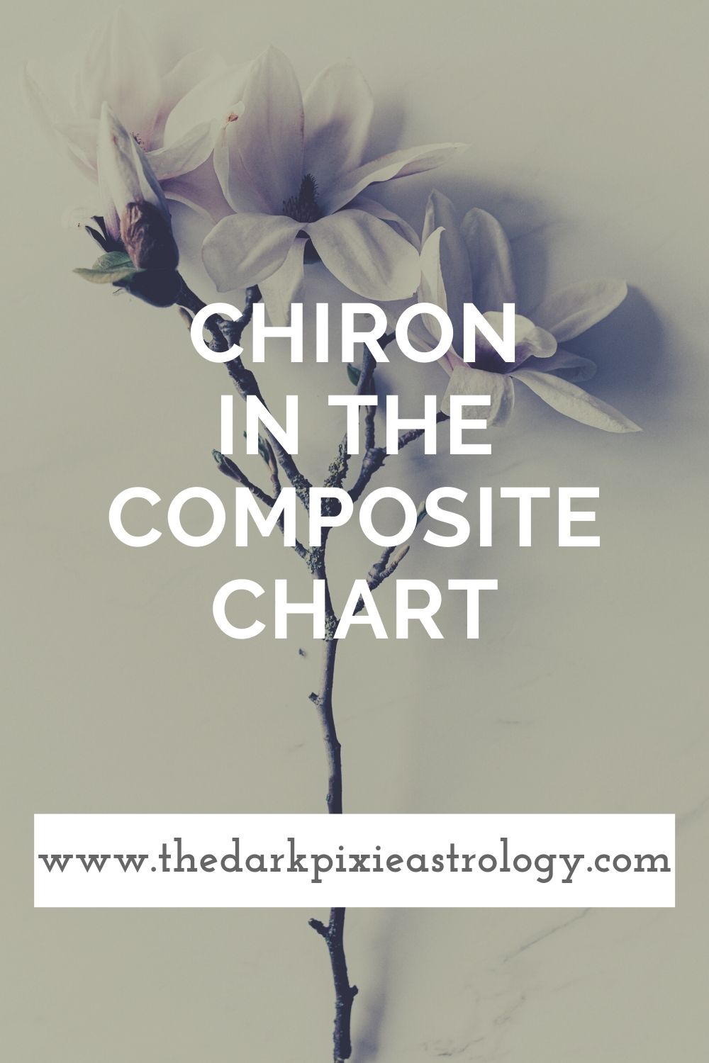 Chiron in the Composite Chart - The Dark Pixie Astrology