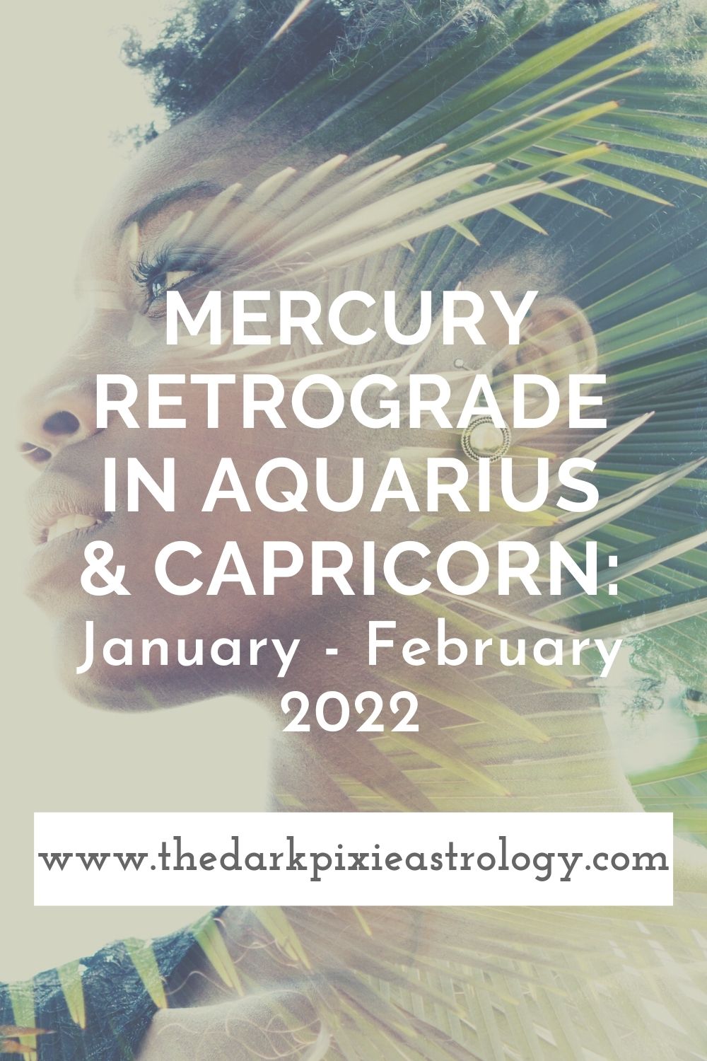 Mercury Retrograde in Aquarius & Capricorn: January - February 2022 - The Dark Pixie Astrology