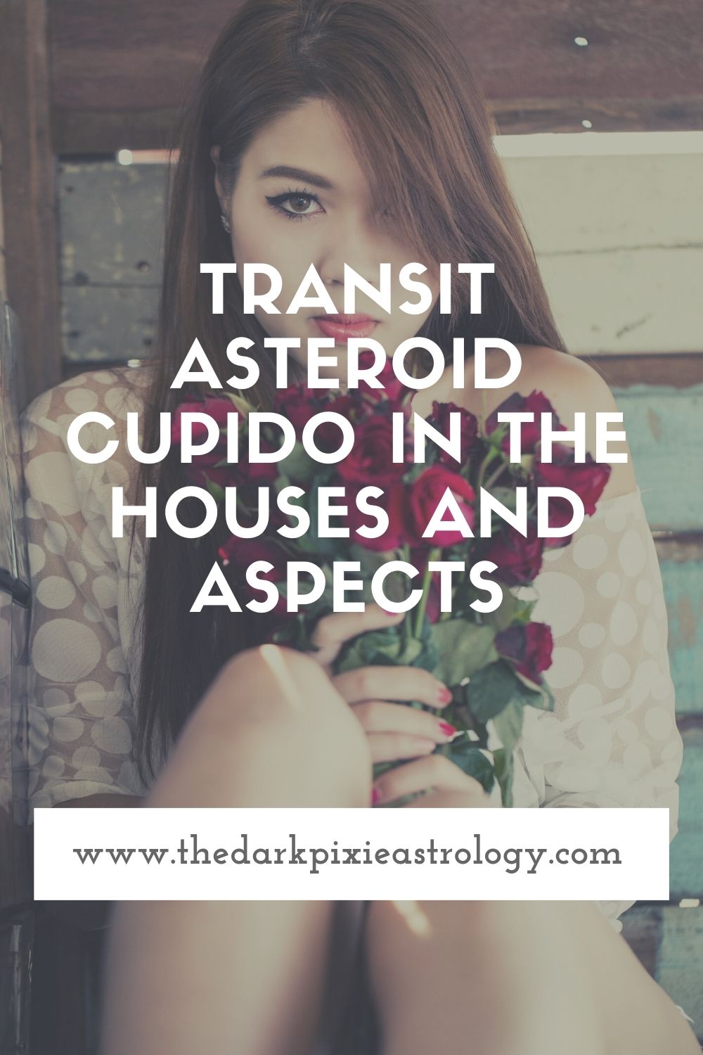Transit Asteroid Cupido in the Houses and Aspects - The Dark Pixie Astrology