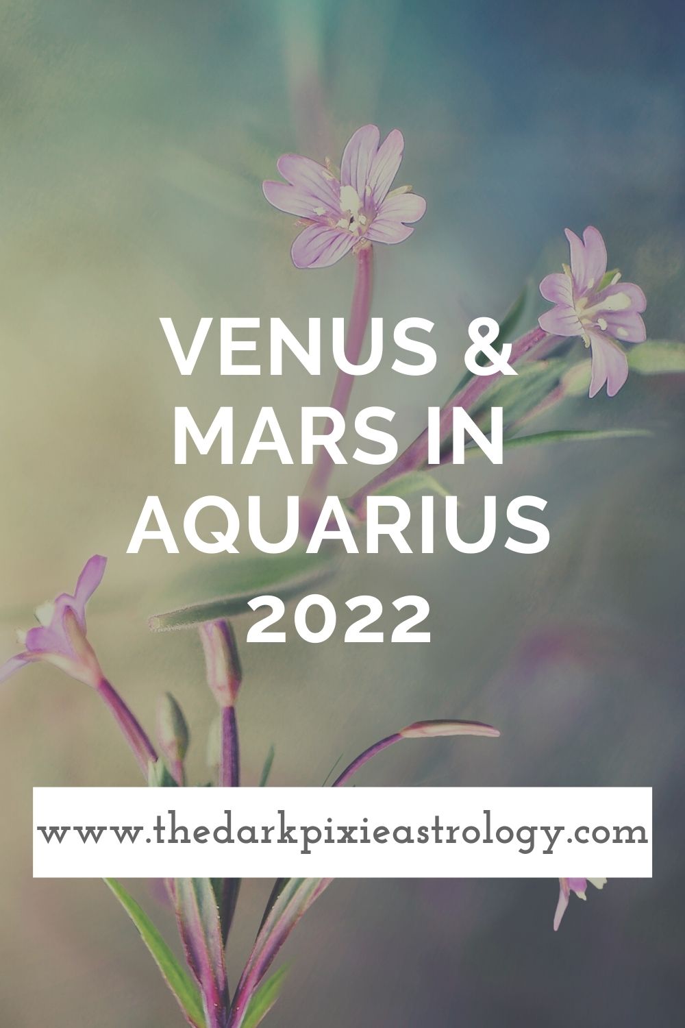 Venus & Mars in Aquarius 2022 - The Dark Pixie Astrology