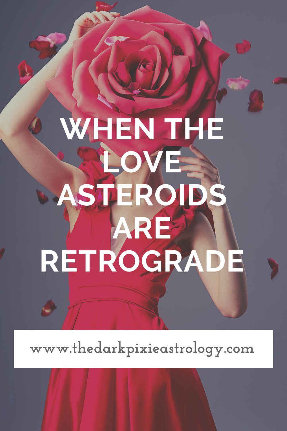 When the Love Asteroids Are Retrograde - The Dark Pixie Astrology